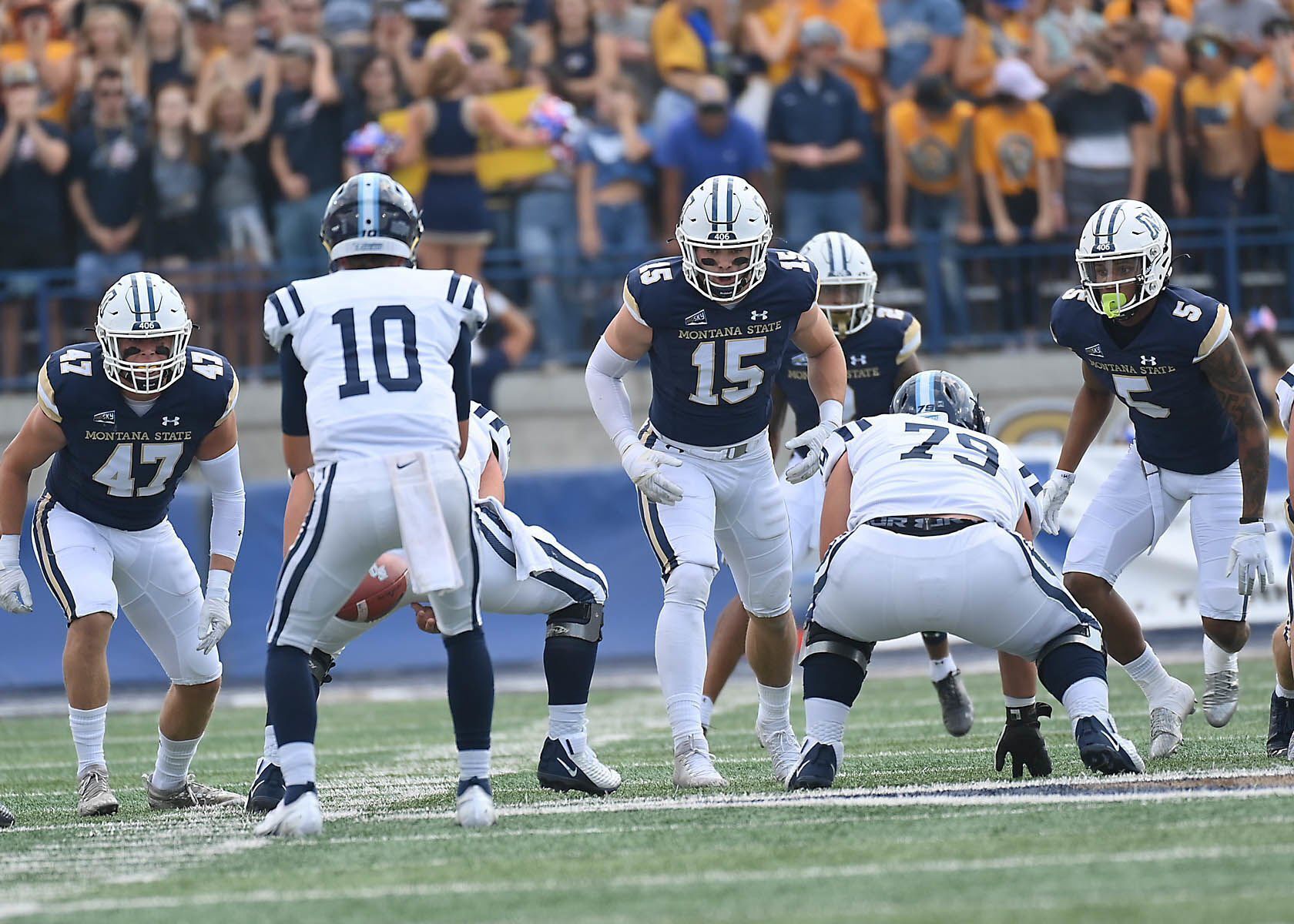 Montana State Bobcats football 4